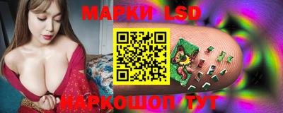 стаф Кингисепп