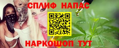 стаф Кингисепп