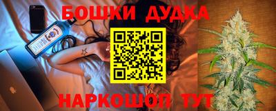 стаф Кингисепп