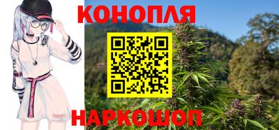 стаф Кингисепп