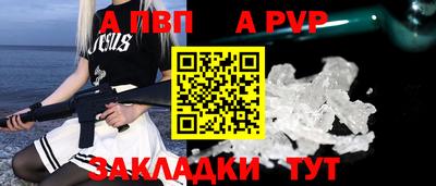 стаф Кингисепп