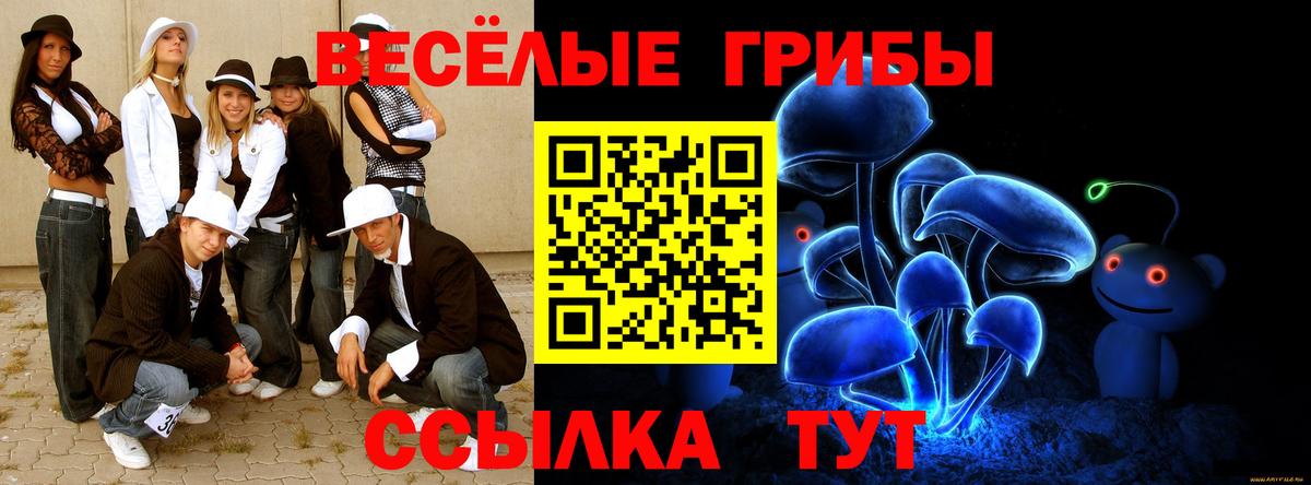 Галлюциногенные грибы Psilocybine cubensis  Вход с VPN  Коммунар  Псилоцибиновые грибы прущие грибы 
